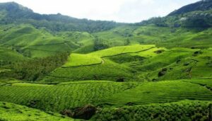 kerala tour package